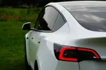 Iedereen verklaarde Tesla dood, en dan kwamen de Belgische inschrijvingscijfers