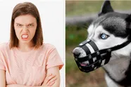 "Ik ben razend! Mijn buurman legde een muilband voor m'n deur en die was zeker niet voor de hond"