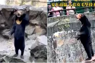 Is beer Angela een mens in berenpak, zeg jij het maar!? Chinese zoo komt met officieel statement