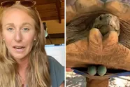 Dierenarts koopt drie vibrators om... een schildpad van haar constipatie te verlossen