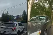 Virale video toont hoe agent geblaf van hond imiteert om verdachten te dwingen zich over te geven