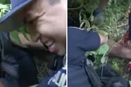 'Pijnlijke' arrestatie: politieagent en verdachte komen terecht in een nest chagrijnige wespen!