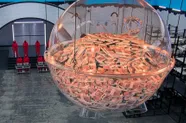 456 deelnemers voor 4,56 miljoen dollar: Netflix dropt eerste beelden van 'Squid Game: The Challenge'