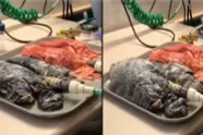 Afschuwelijke video laat zien hoe de longen van een roker eruitzien als hij ademt