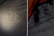 Pure horror! Kampeerder doet griezelige ontdekking nadat hij iets in slaapzak voelt