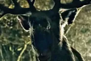 Alsof Winnie The Pooh nog niet erg genoeg was... Hier is de horrorfilm 'Bambi: The Reckoning'
