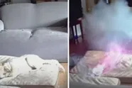 Angstaanjagende video toont moment waarop hond brand veroorzaakt na doorbijten draagbare batterij