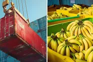 'Foutje' in haven van Antwerpen: 95 kilo cocaïne komt terecht in Aldi-supermarkten