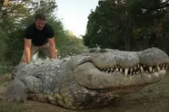 Dit is Henry, de oudste krokodil ter wereld, die zes vriendinnen heeft en minstens 10.000 kinderen