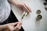 Grootste onderzoek ooit naar cannabis onthult 'significante invloed' op hersenfunctie