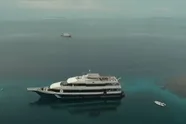 Duikers bereiken bodem van 120 meter diepe ‘Great Blue Hole’ en doen daar angstaanjagende ontdekking