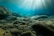 Diepzeewetenschappers doen ongelooflijke ontdekking op de bodem van de Stille Oceaan