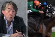 GAIA reageert scherp na drama met twee overleden paarden op Waregem Koerse: "Beter een eind aan maken!"