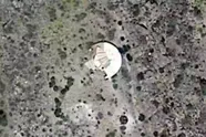 Net nu we nog eens naar de maan reizen: mysterieuze 'UFO'-schijf gespot op Google Maps leidt tot angstaanjagende theorieën