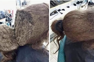 Meisje weigert haren te kammen totdat kapper haar trieste geheim ontdekt