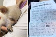 Achtergelaten puppy alleen gevonden op luchthaven met briefje van zijn baasje dat ze geen andere keus had dan hem achter te laten