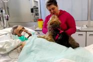 Vader in coma reageert niet op verplegers, maar geeft plotseling een teken als zijn hond hem bezoekt
