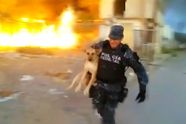 Een heldhaftige politieman riskeerde zijn leven om een hond uit de vlammenzee te redden