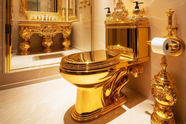 Man geeft toe gouden toilet ter waarde van 6 miljoen euro gestolen te hebben