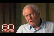 Video | Interview met Attenborough bij 60 Minutes