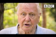 Video | Attenborough: 'Onmiddelijk actie nodig voor uitstervingcrisis'
