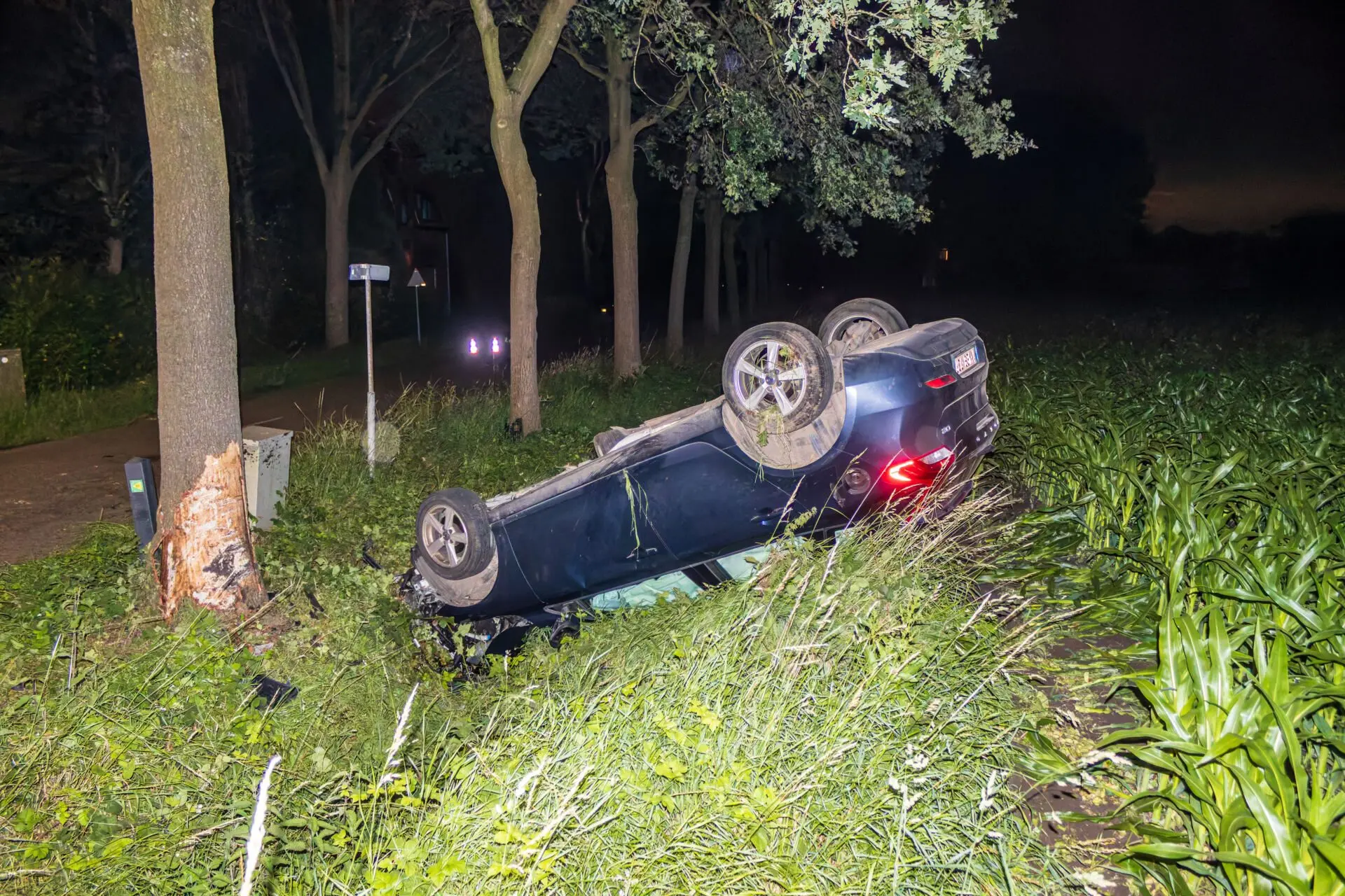 Heftige crash: bestuurder bekneld in auto na botsing met boom in Keizershoek Baarle-Nassau