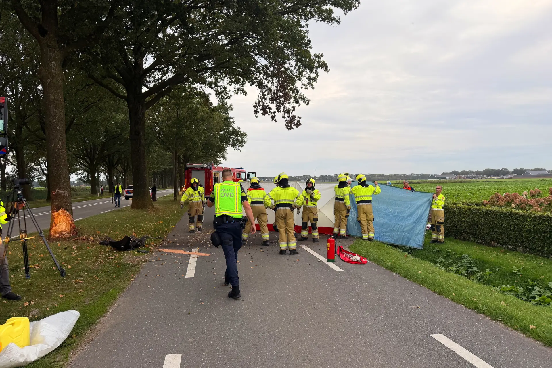 Automobilist botst hard tegen boom op N277 bij Odiliapeel