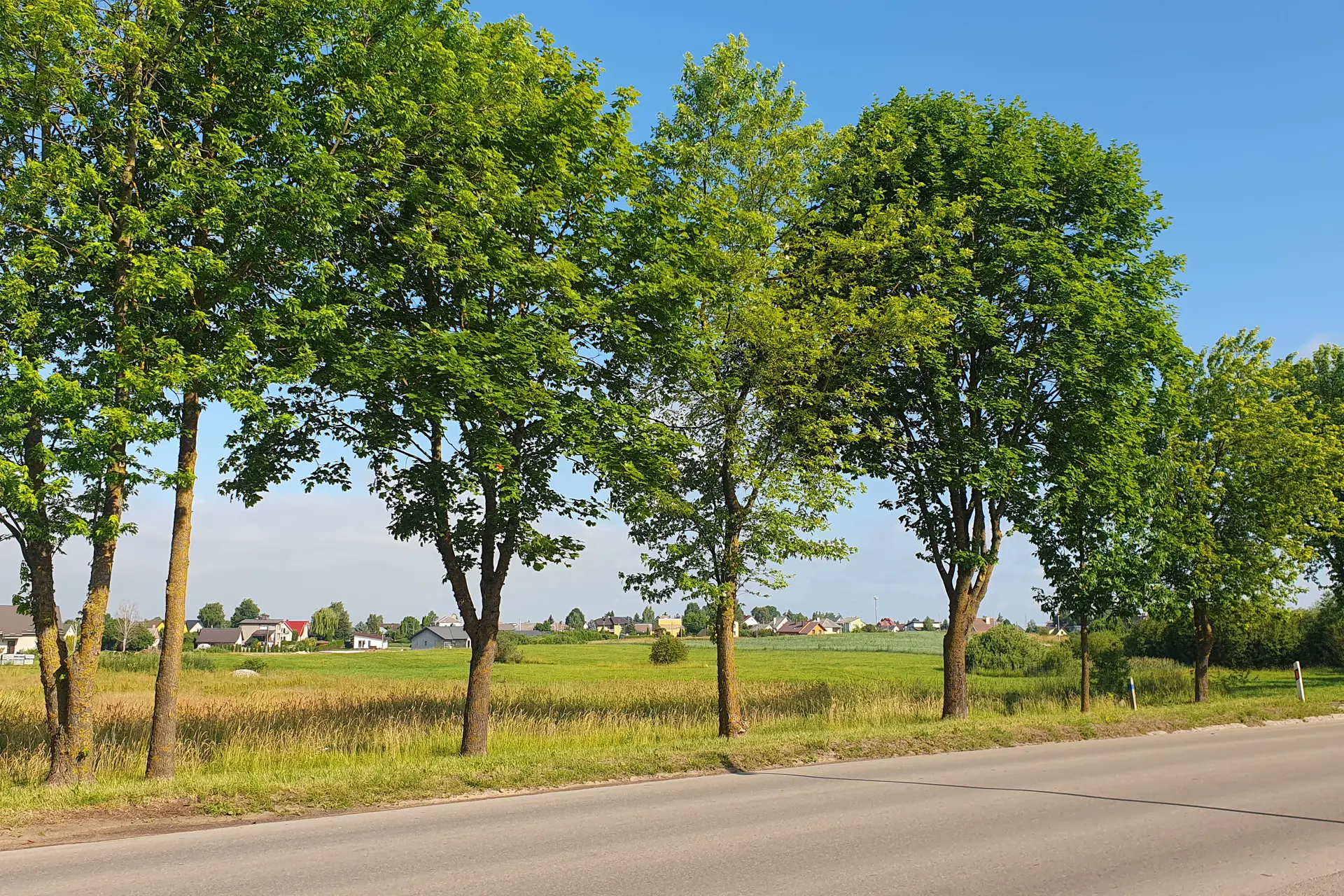 20230626 090924