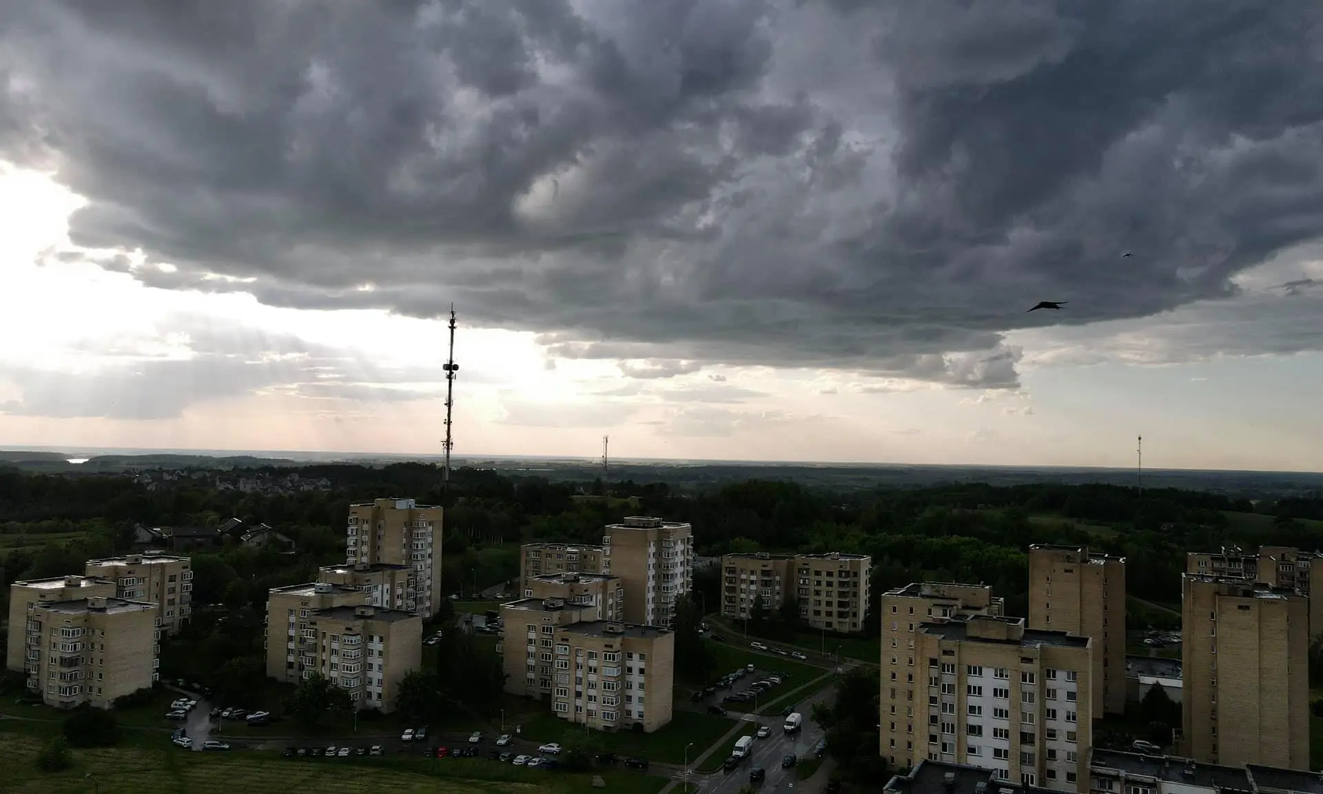 alytus