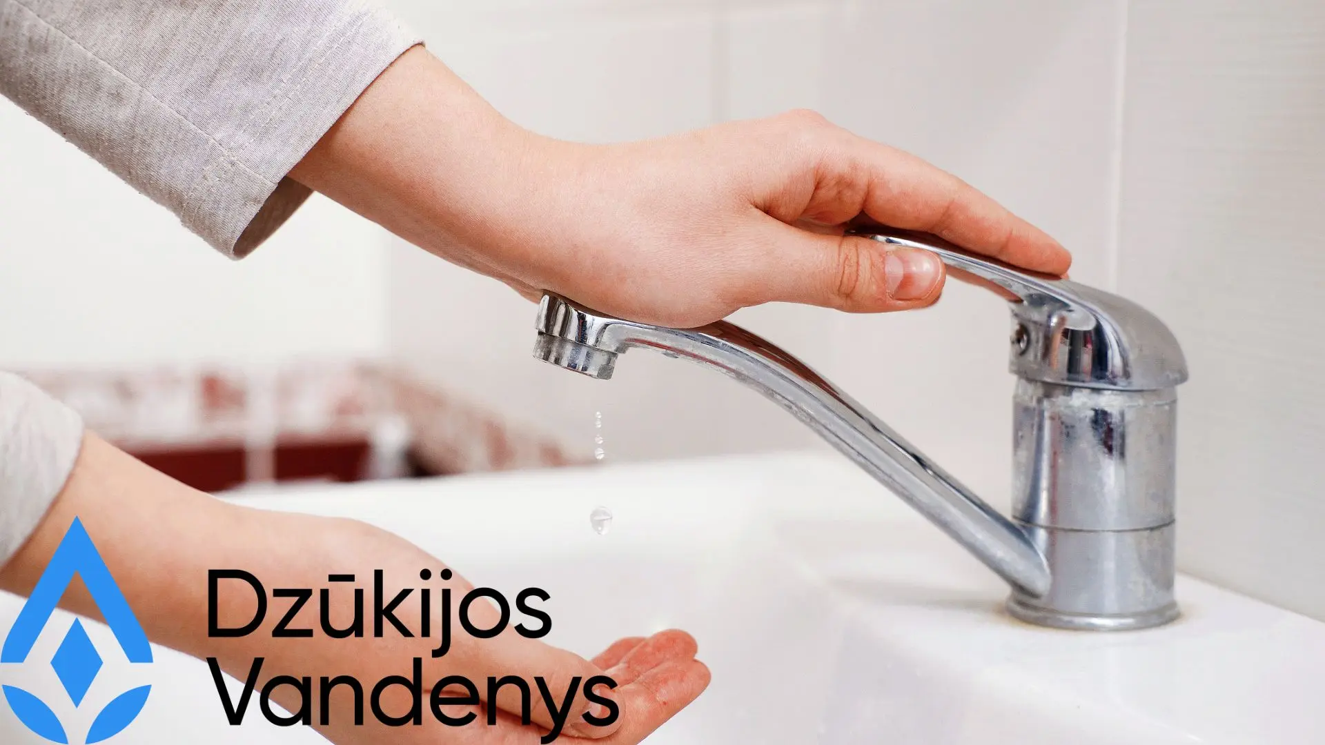 dvandenys