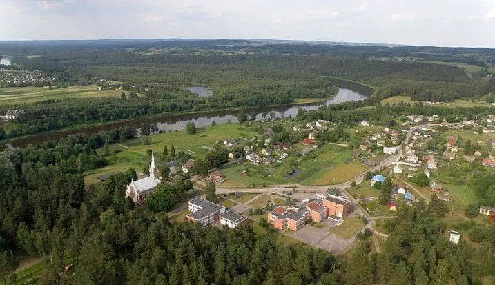 nemunaitis 2020aa