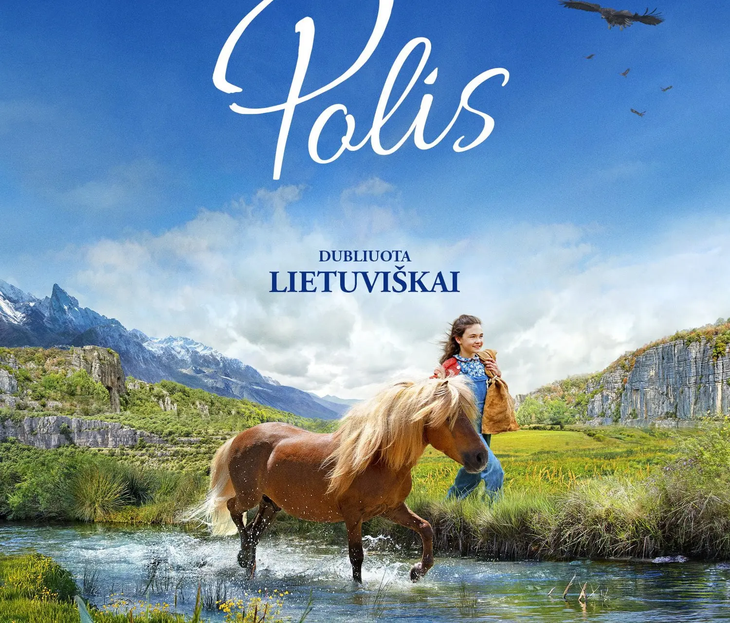 poly poster lt 1