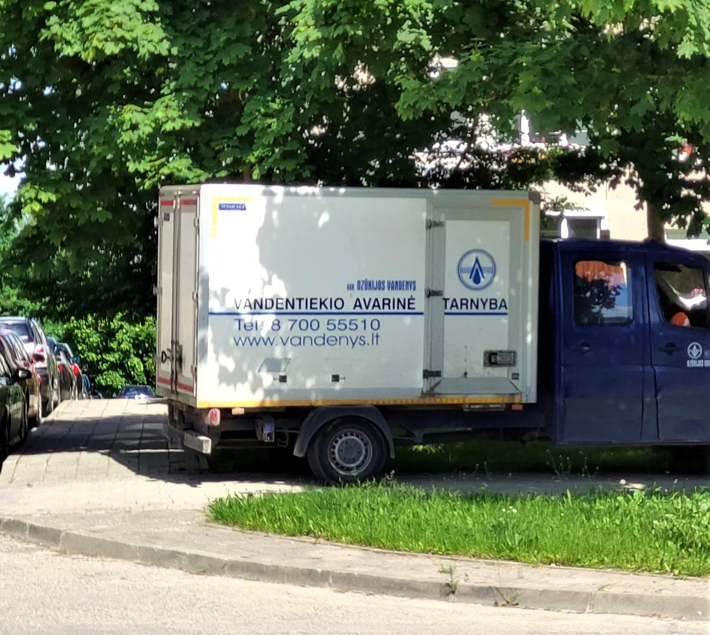 vandimg 20210606 154856