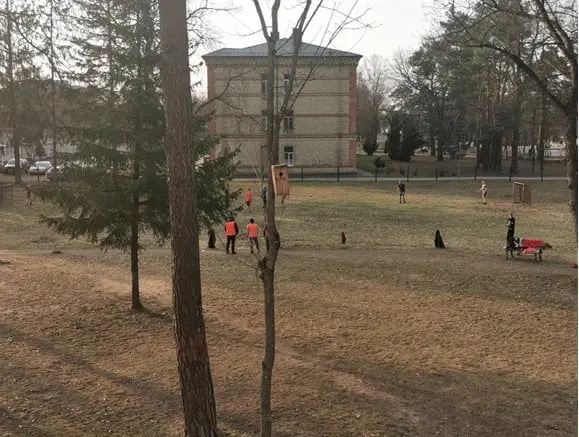 zonatvirfutbl