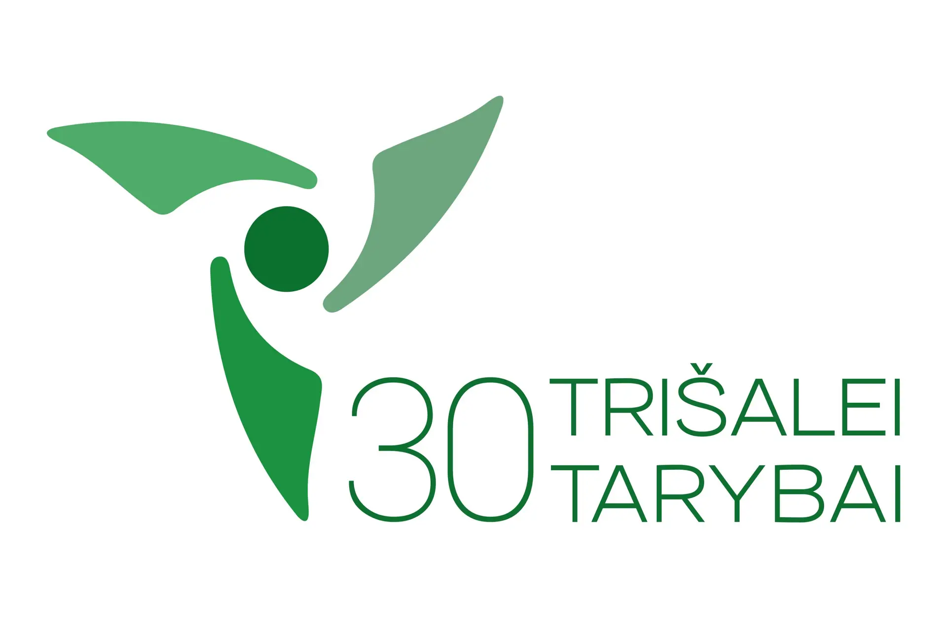 2025 05 07 sadm trisales tarybos uzsklanda 12