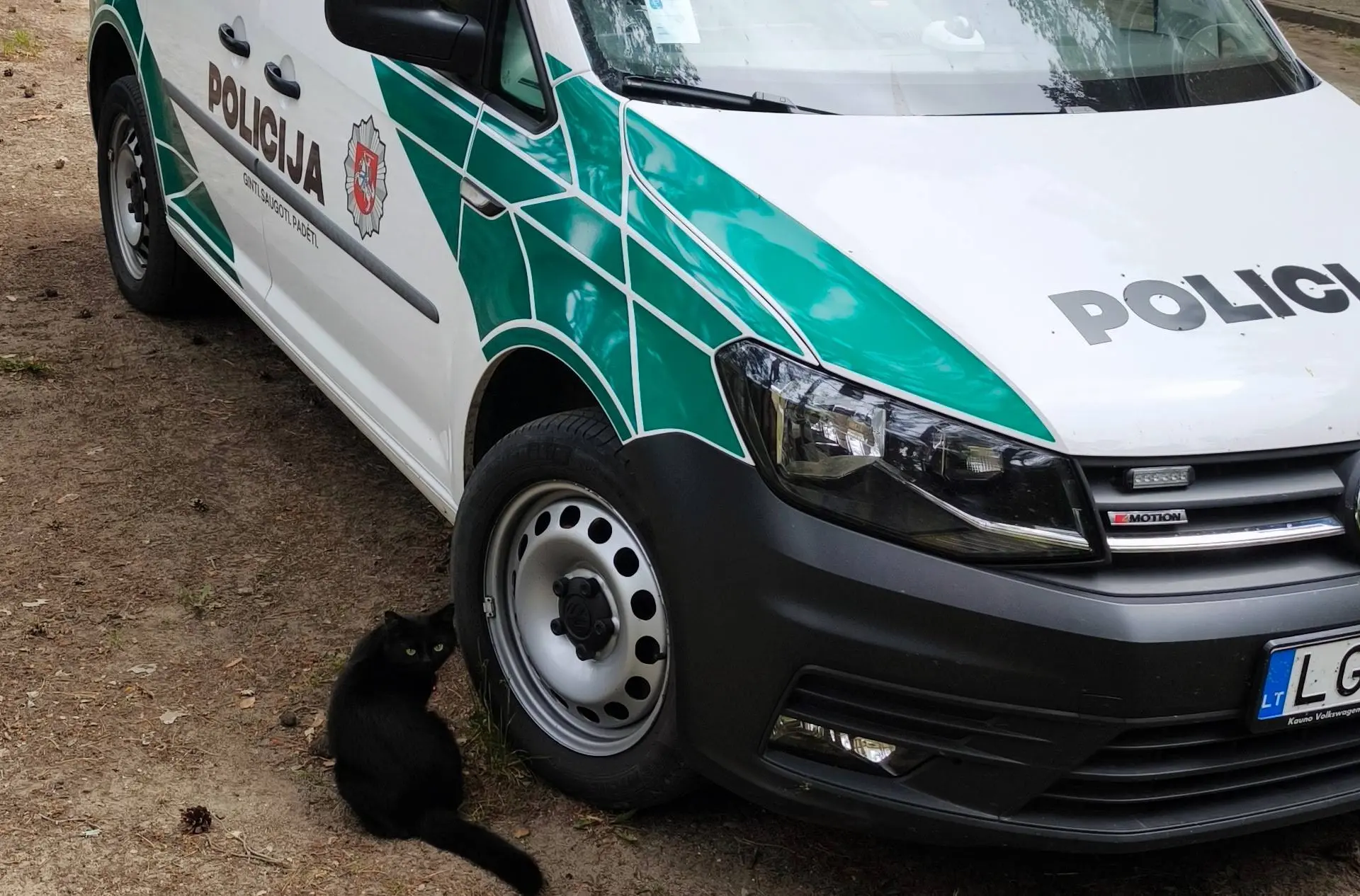 policija kat