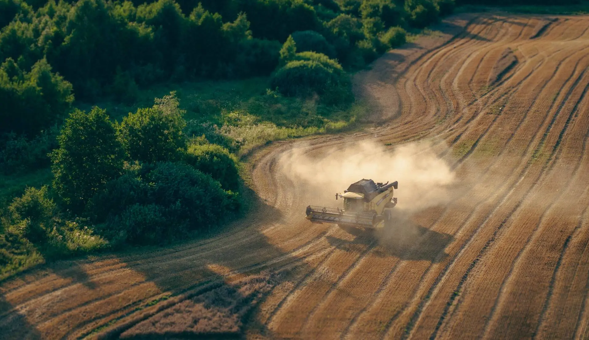 d1_dji_20240801194340_0018_d