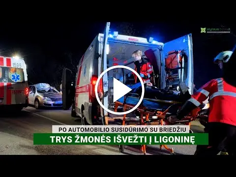 Antradienio vakarą – avarija netoli Užubalių kaimo: automobilis susidūrė su briedžiu