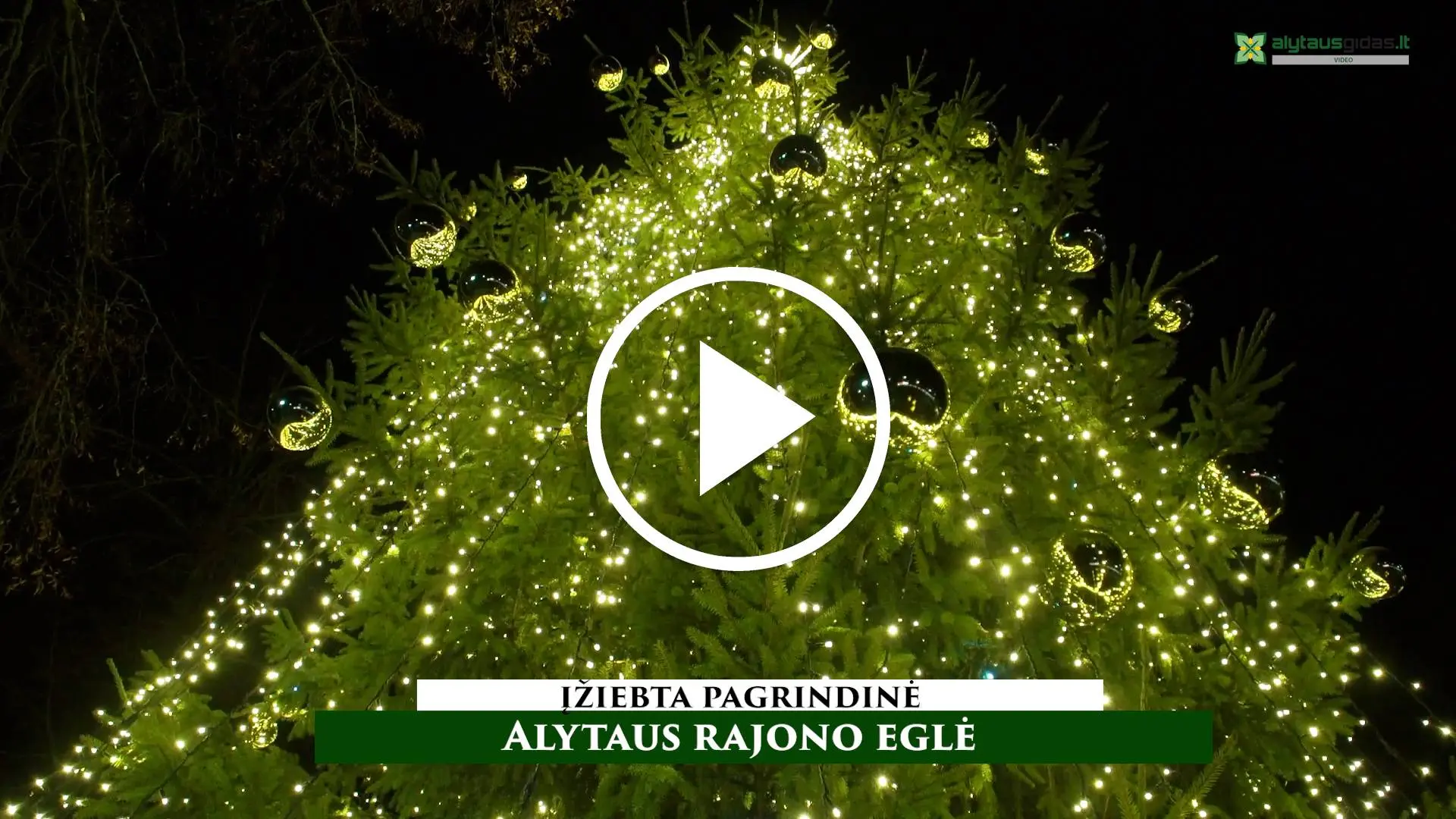 Sušvito pagrindinė Alytaus rajono žaliaskarė VIDEO