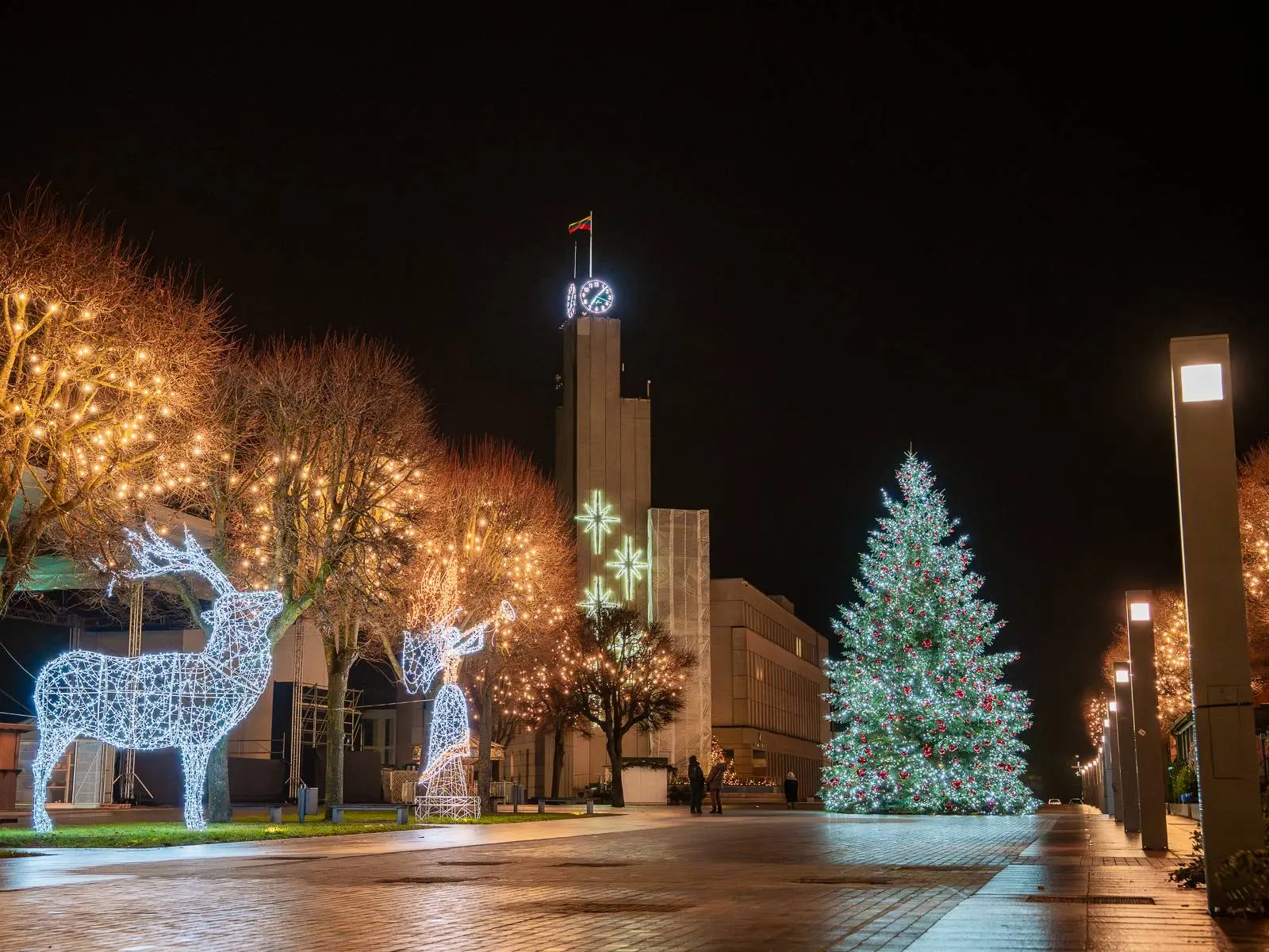 20251205-DSC08807