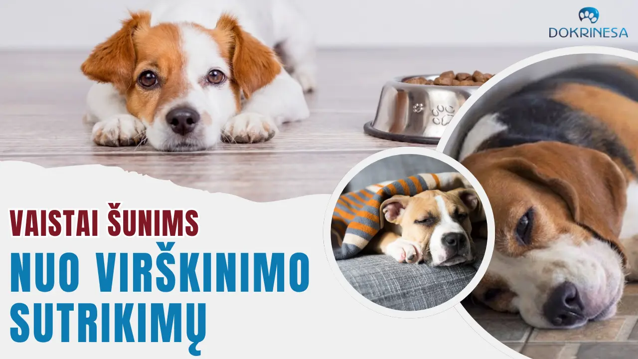vaistai-sunims-nuo-virskinimo-sutrikimu