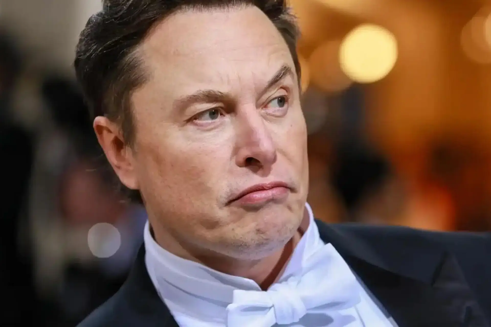 elon musk scaled