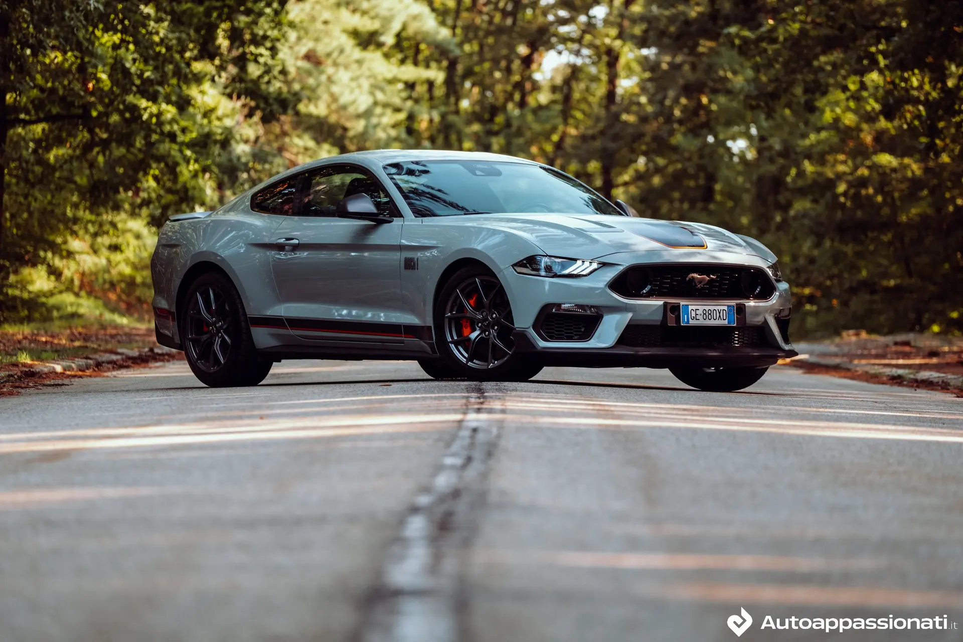 ford mustang mach129