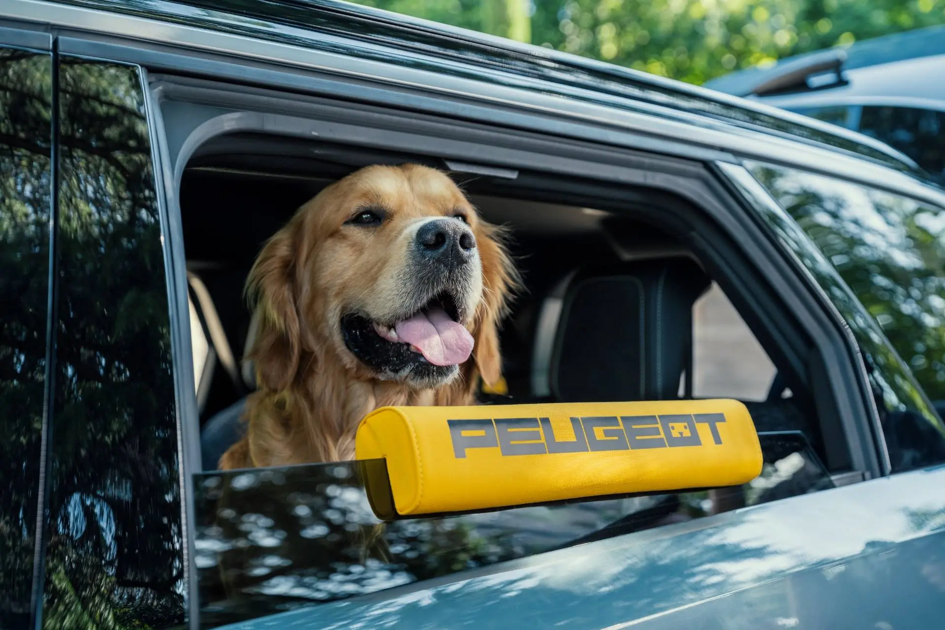 concept-e-5008-dog-edition