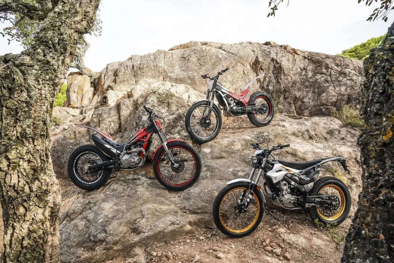 honda-montesa-2027-model-range