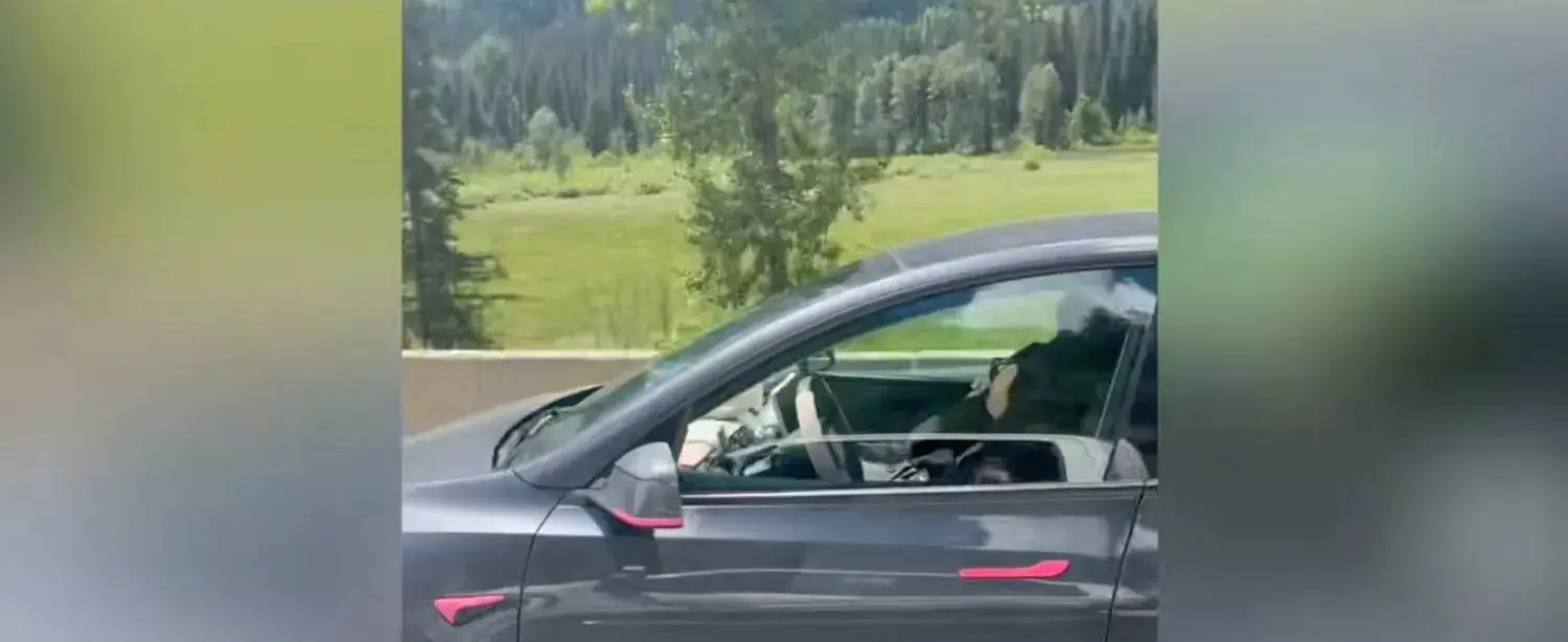 Tesla 'bestuurder' slaapt met 100 km/u met kinderen achterin