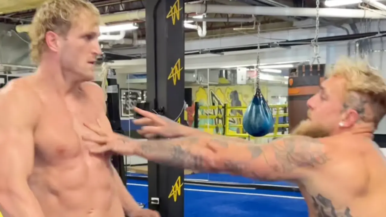 Jutta Leerdam's vriendje Jake Paul vecht tegen broer Logan? 'Intense staredown' wordt afgemaakt online "Nep!"