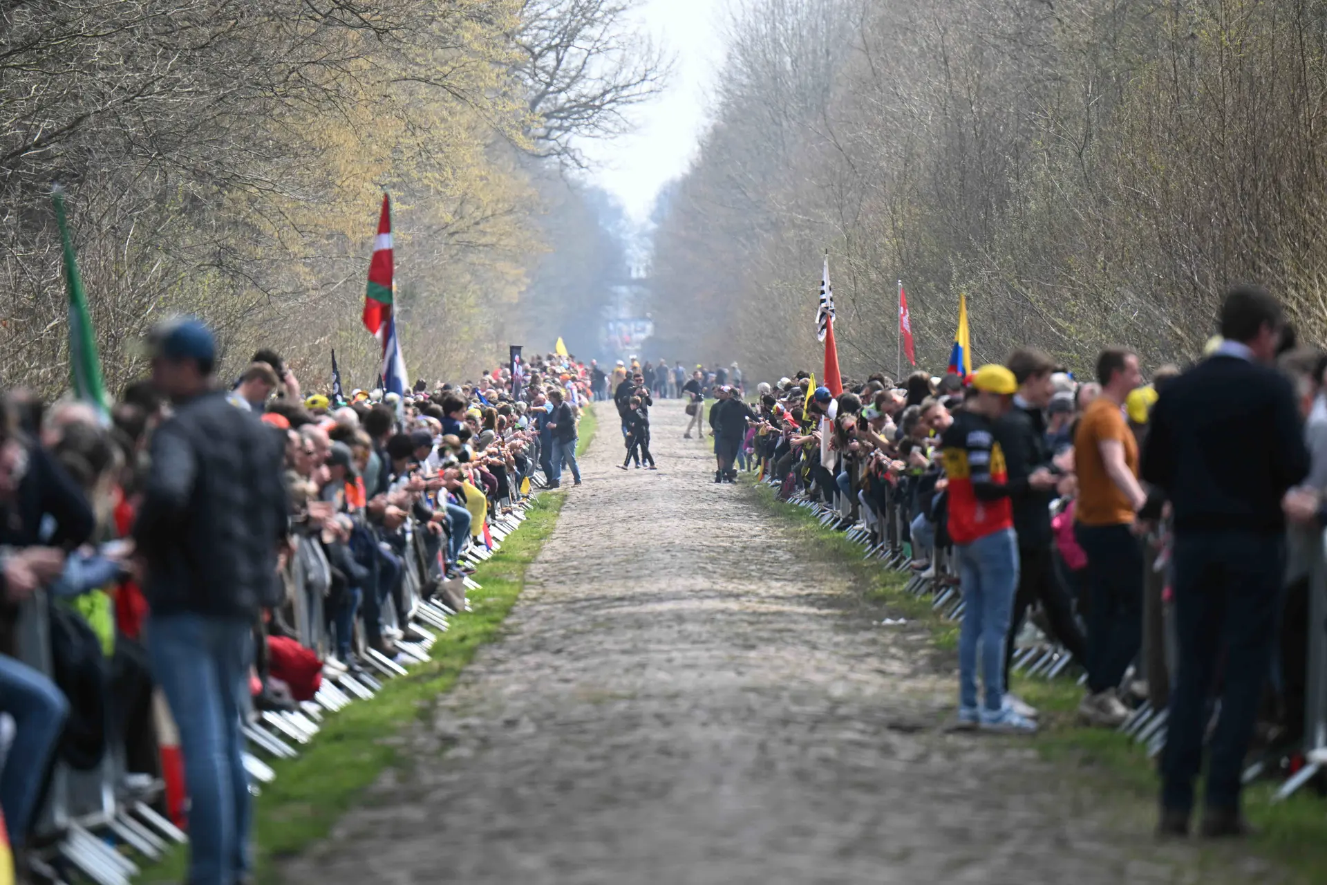 El consejo de Adrie a su hijo Mathieu van der Poel en los adoquines de la París-Roubaix: "Mantén las manos alejadas de los frenos"