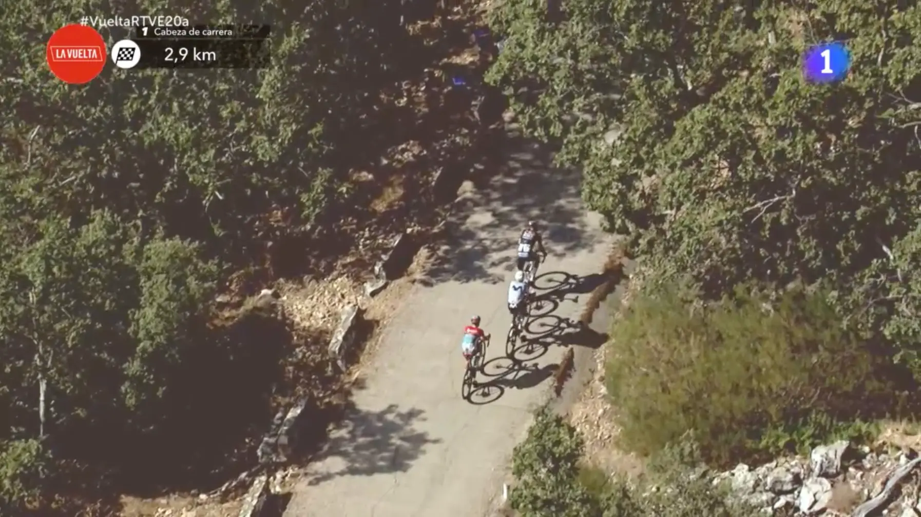 EN DIRECTO | Etapa 4 Vuelta a España 2024: ¡Victoria y liderato para Primoz Roglic!