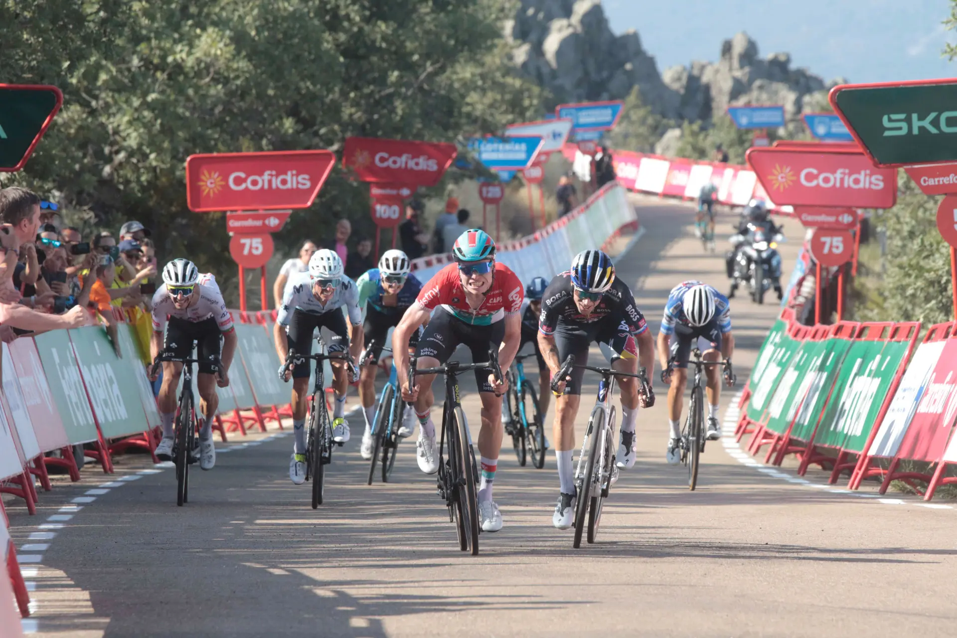 PREVIA | Etapa 8 Vuelta a España 2024 - Primoz Roglic, obligado a atacar a Ben O'Connor en un final bestial en Cazorla